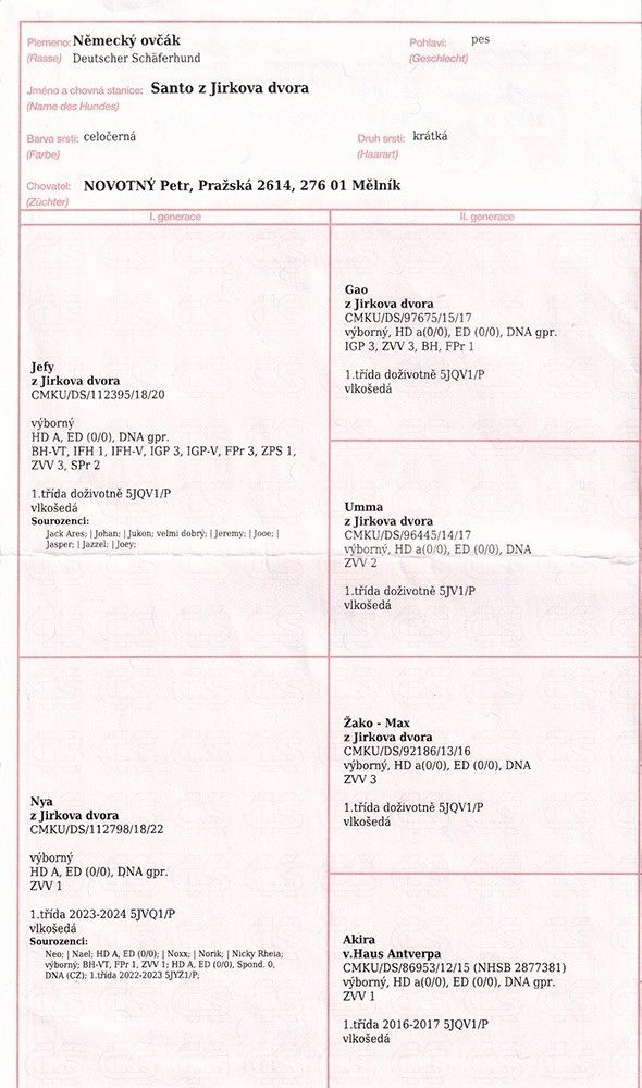 Santo z Jirkova dvora, pedigree